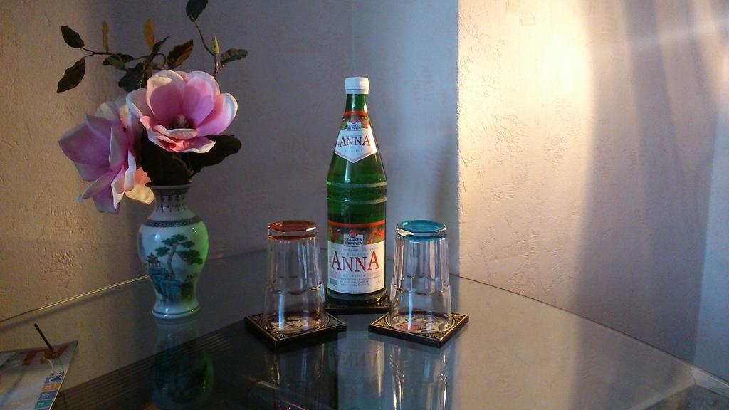 Ferienwohnung Anna 格赖茨 客房 照片